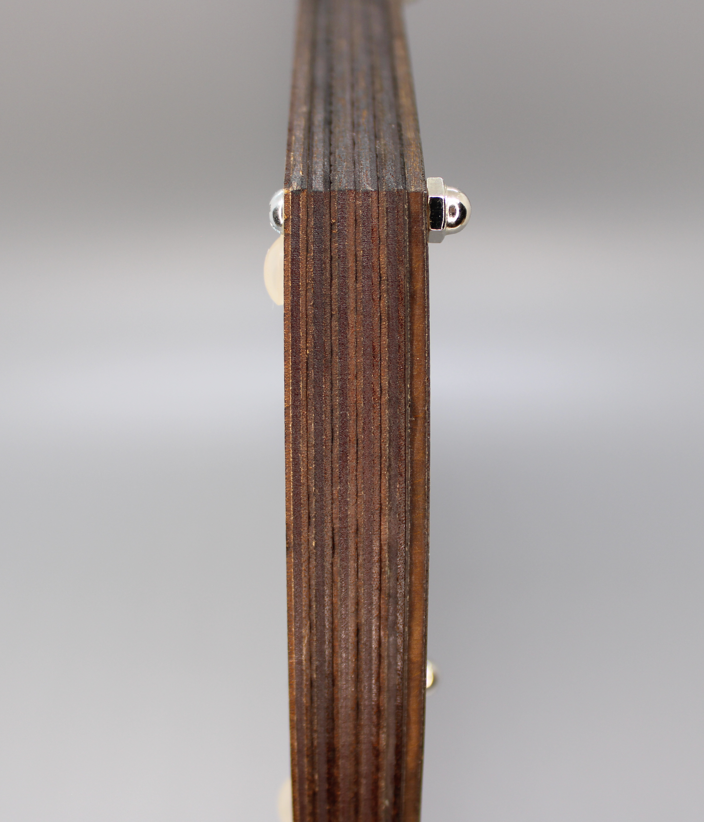 Dice Tray - Pro Version