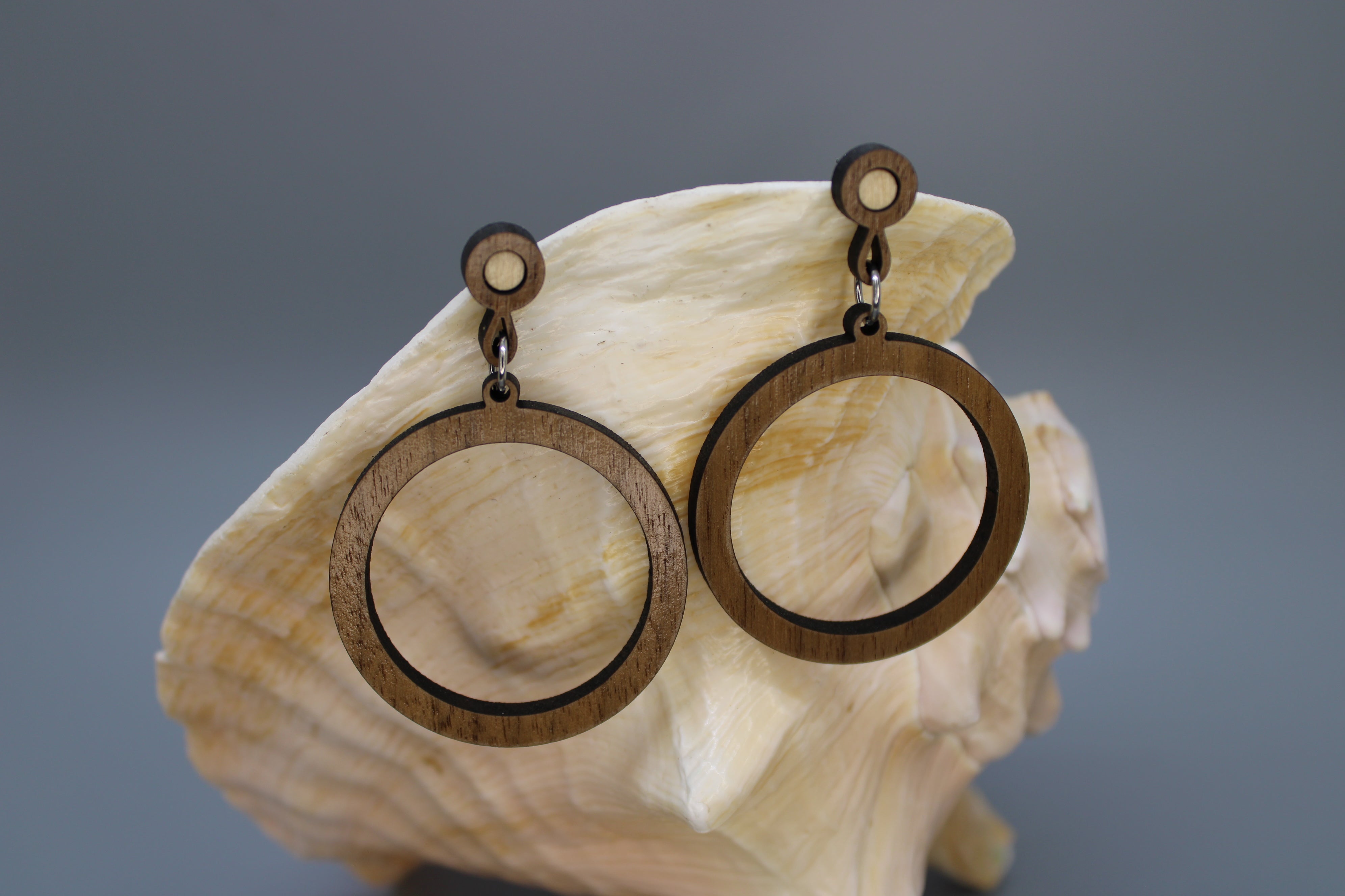 holy hoops